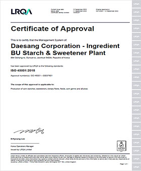 Ingredient BU Starch & Sweetener Plant ISO 45001 Certificate
